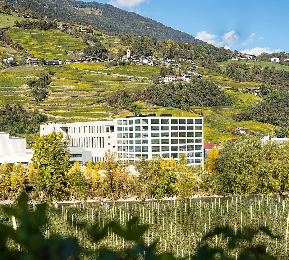 Modern office building in South Tyrol surrounded by vineyard terraces and autumn landscape with church tower